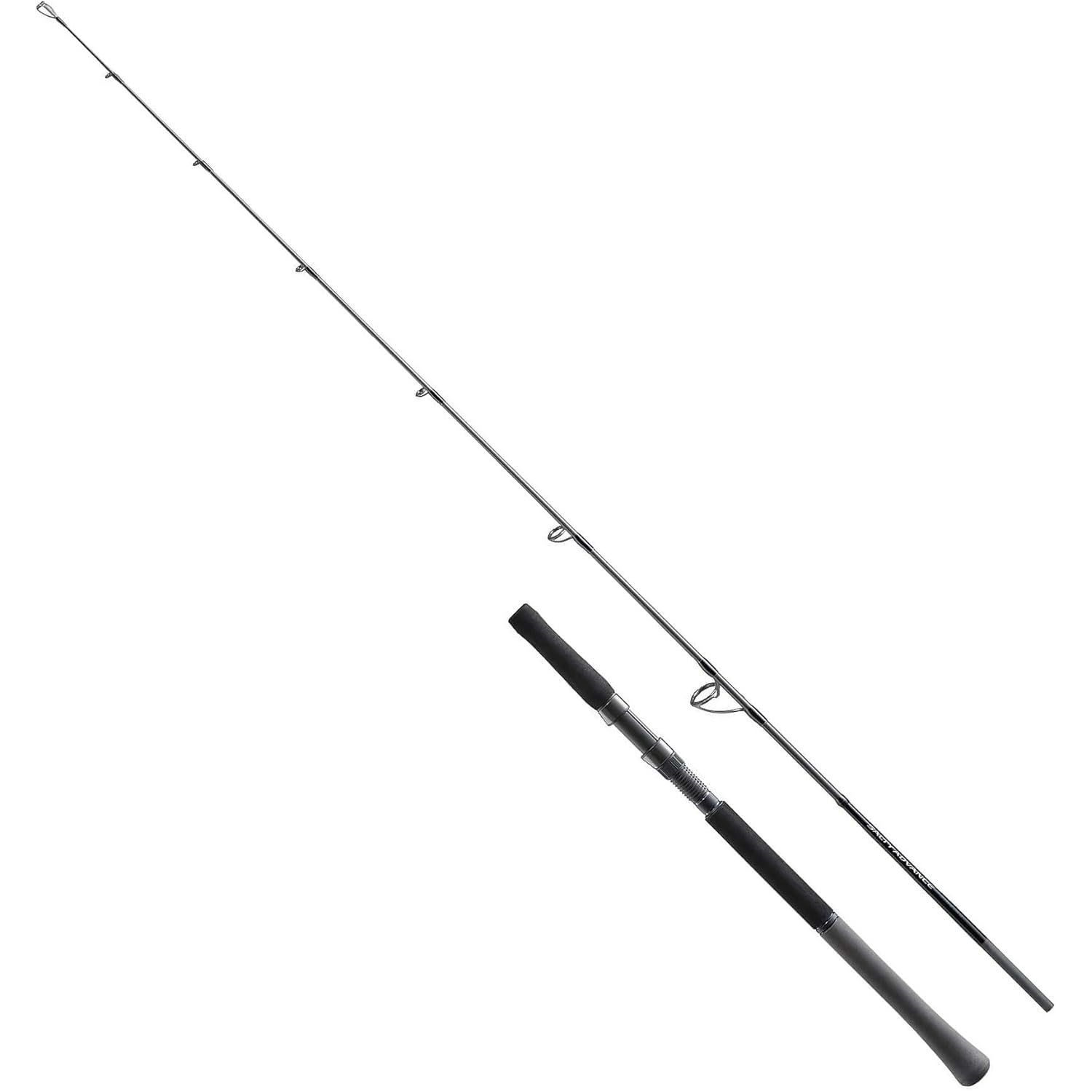 SHIMANO|シマノ 25 ソルティーアドバンス ジギング S60-4 273512 オフショアロッド