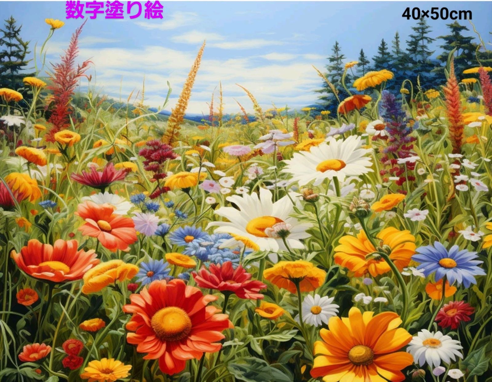 06B】数字絵 ペイントバイナンバー 油絵 大人の塗り絵 40×50cm かるく アクリル画