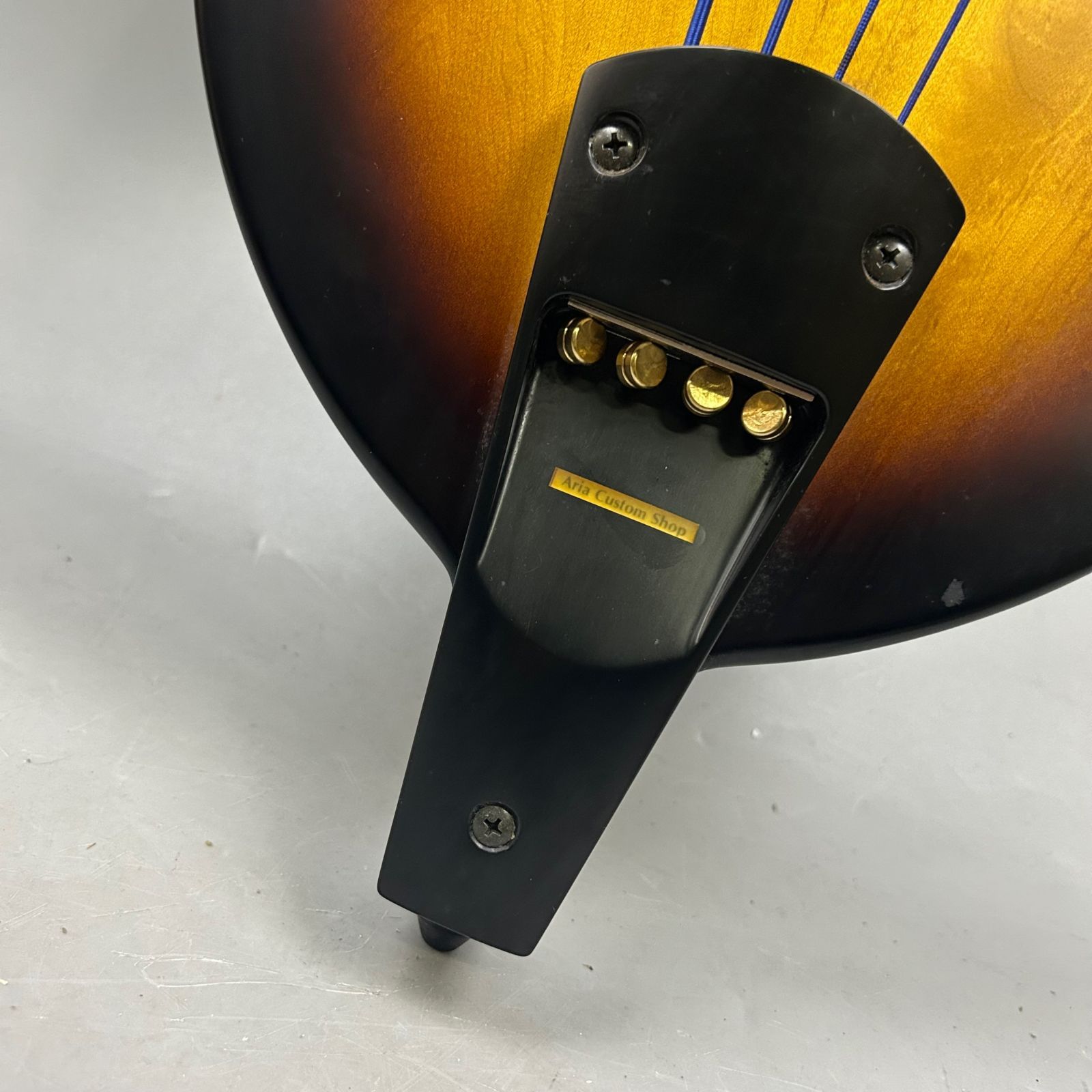 オリエンテ練習用コントラバス（ケース、スタンドつき） オリエンテ練習用コントラバス（ケース、スタンドつき）