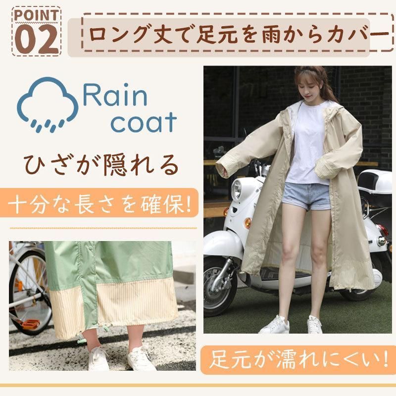 中株サイズ dwarf tatsuta ドワーフタツタ スポア ビカクシダ☆Willinckii☆Dwarf Tatsuta☆ドワーフタツタ③ ビカクシダ