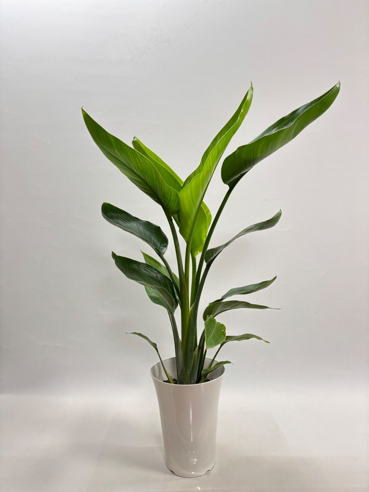 山水トランス/TP160/2台組 山水トランス/TP160/2台組