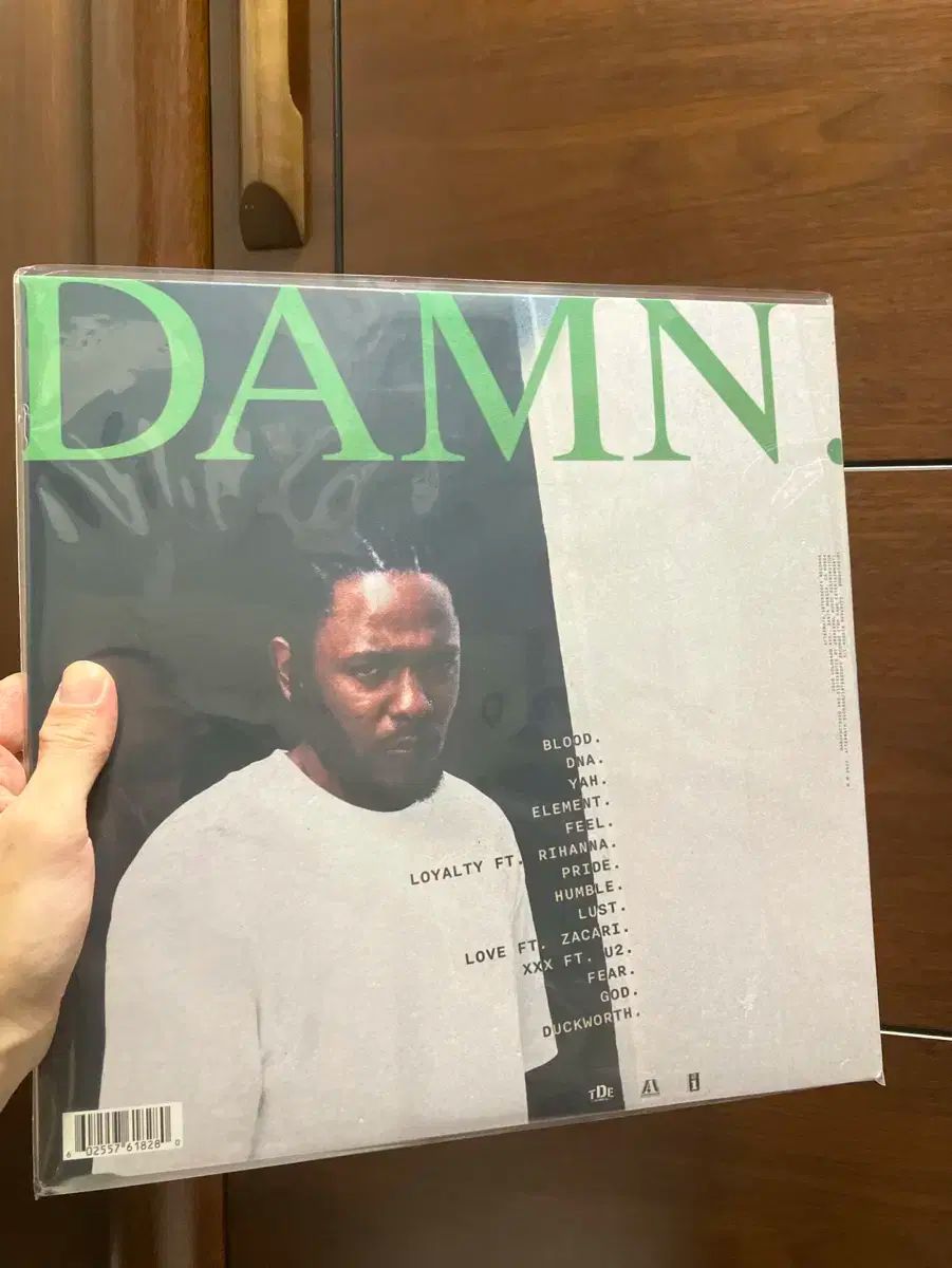 Kendrick Lamar DAMN. LPレコード Kendrick Lamar DAMN