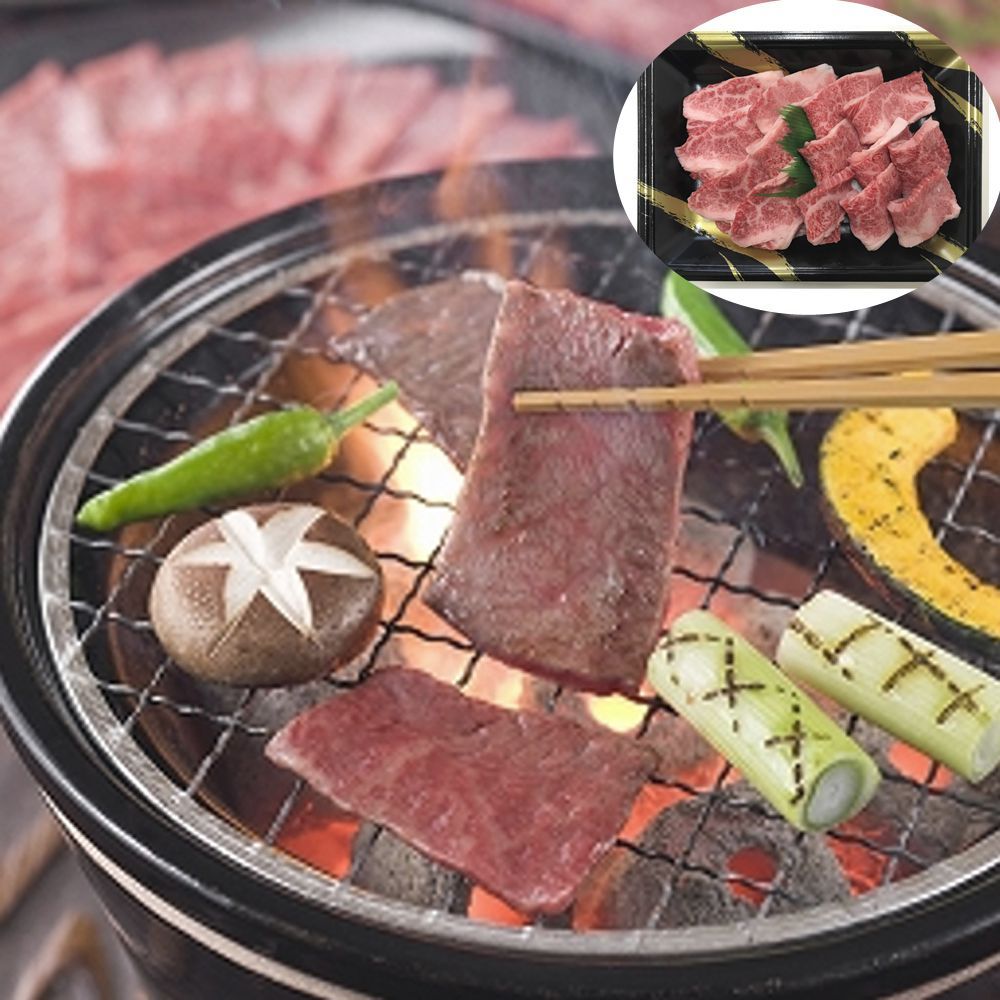 shi-baわんこ アウトレット 10キロ 箱込み クール便 楽天市場】クール便 箱の通販