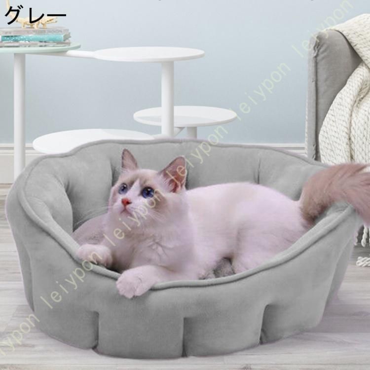 ペット