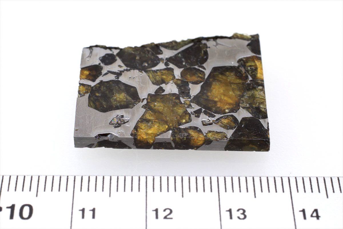 セイムチャン 7.2g スライス カット 標本 石鉄 隕石 パラサイト Seymchan 11