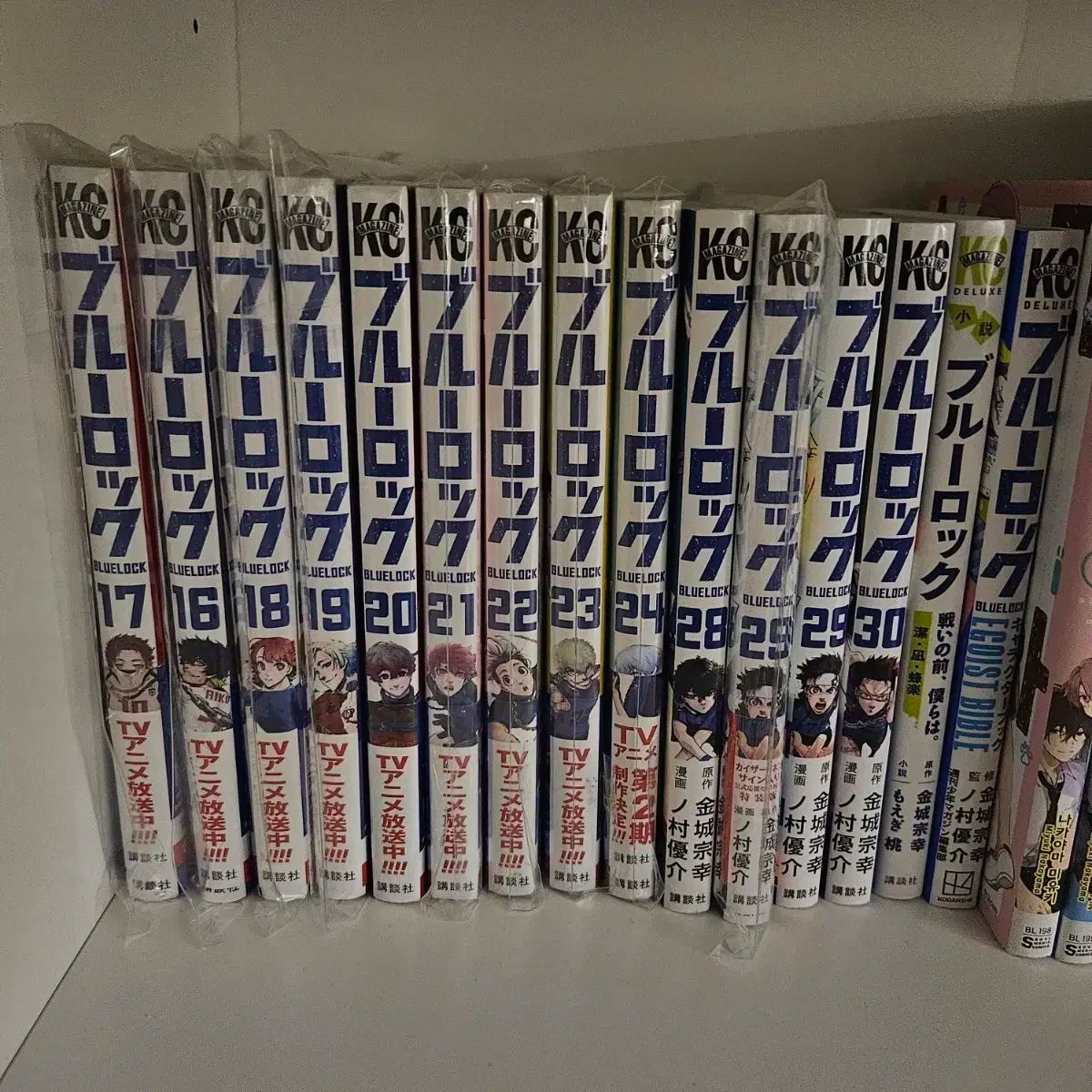 ブルーロック フルストーリー エゴイスト バイブル 願書 日本語版 漫画 出品 韓国イブル