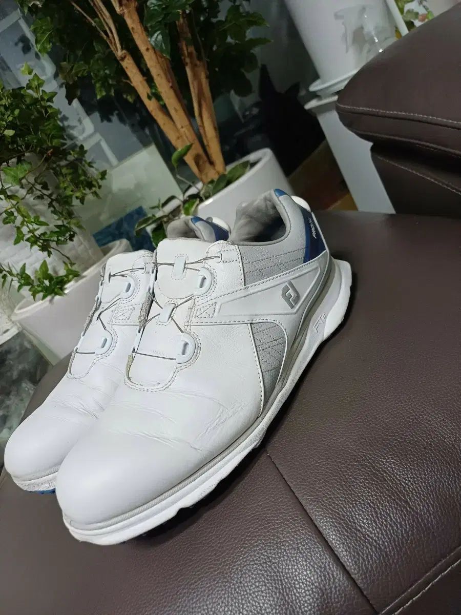 DALI ダリ全画集 ロベール・デシャルヌ/ジル・ネレ|コンパクト日本語版