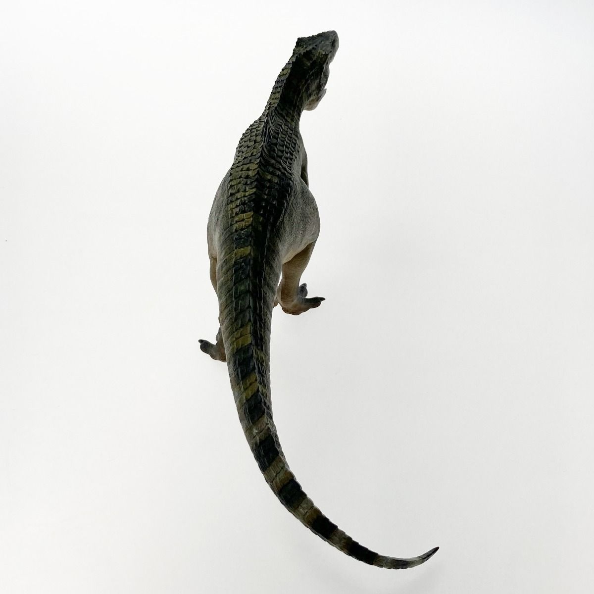 Gustav フィギュア Gustav Nanmu Studio ギガノトサウルス