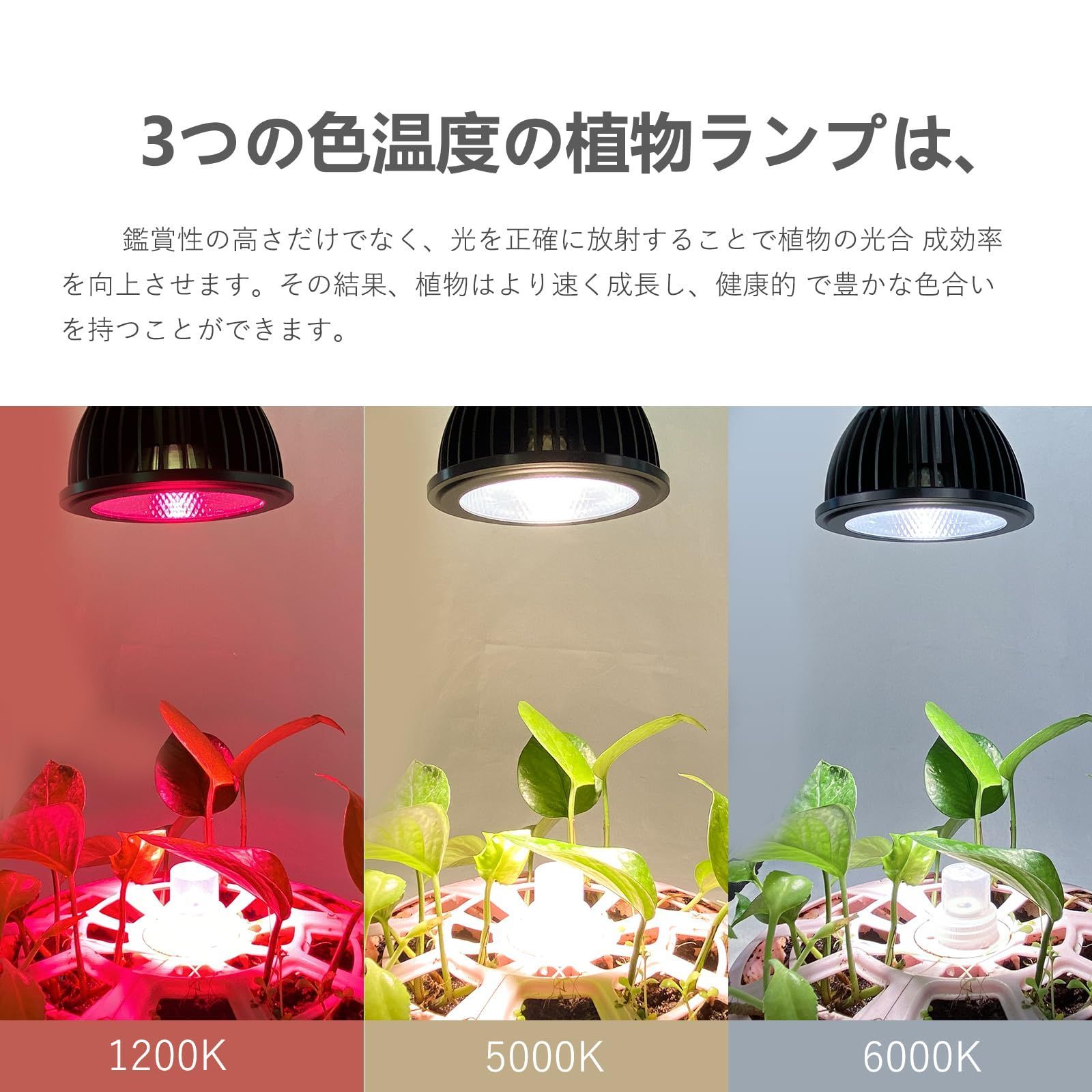 Amazon.co.jp: Hipargero HG800 LED植物育成ライト フル