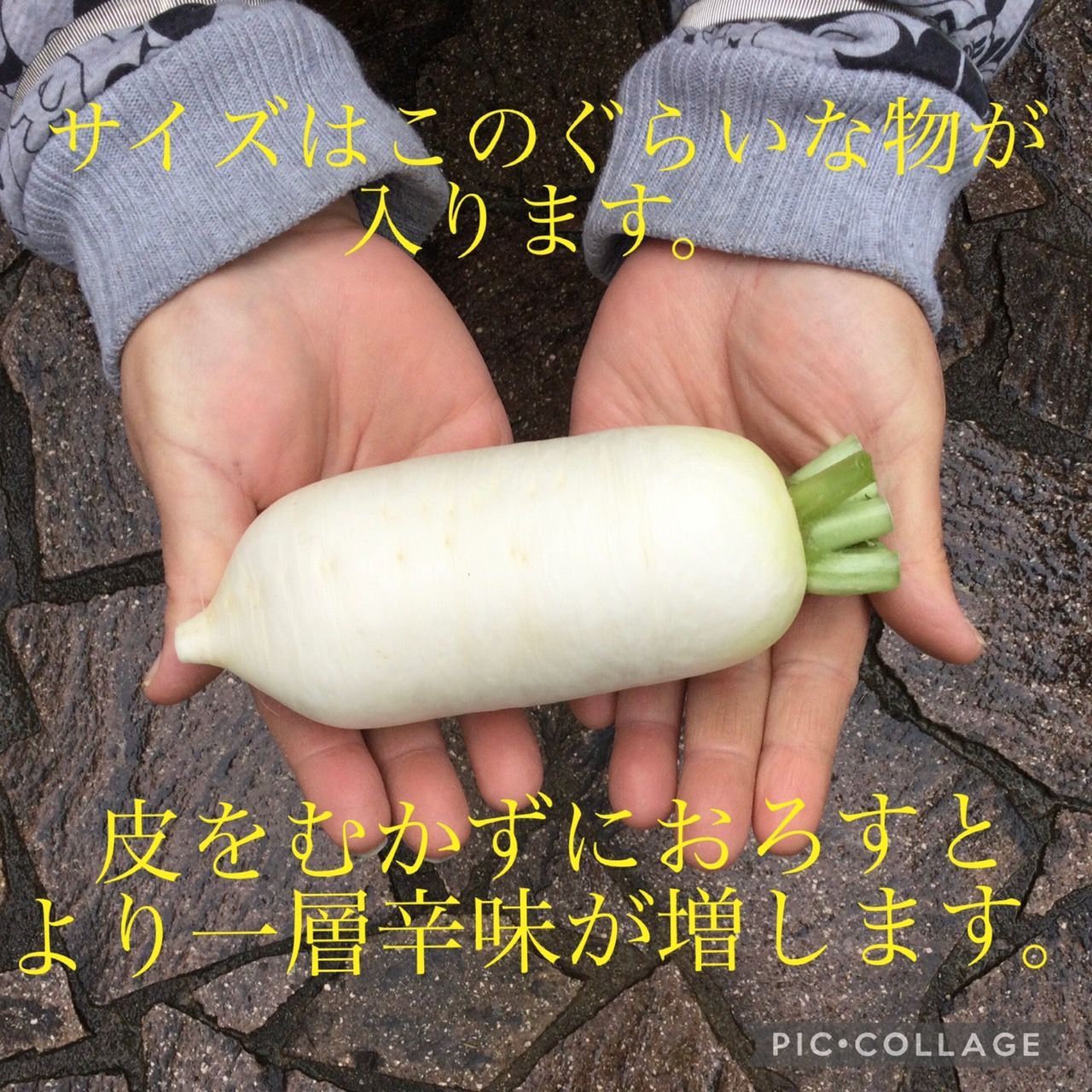 新作製品、世界最高品質人気! 《御予約》ひろ様専用 野菜の詰め合わせ