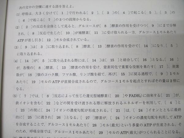 駿台 東京大学 東大生物テスト演習 テキスト通年セット 状態良 2024 計2冊 017S0D 駿台 東京大学 東大生物テスト演習 テキスト通年セット 状態良