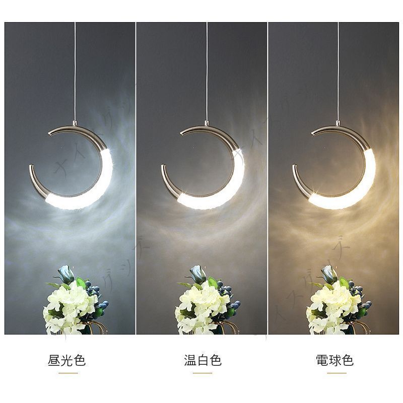天井照明器具 月