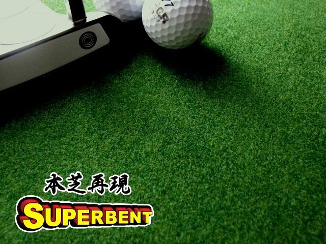 2枚組