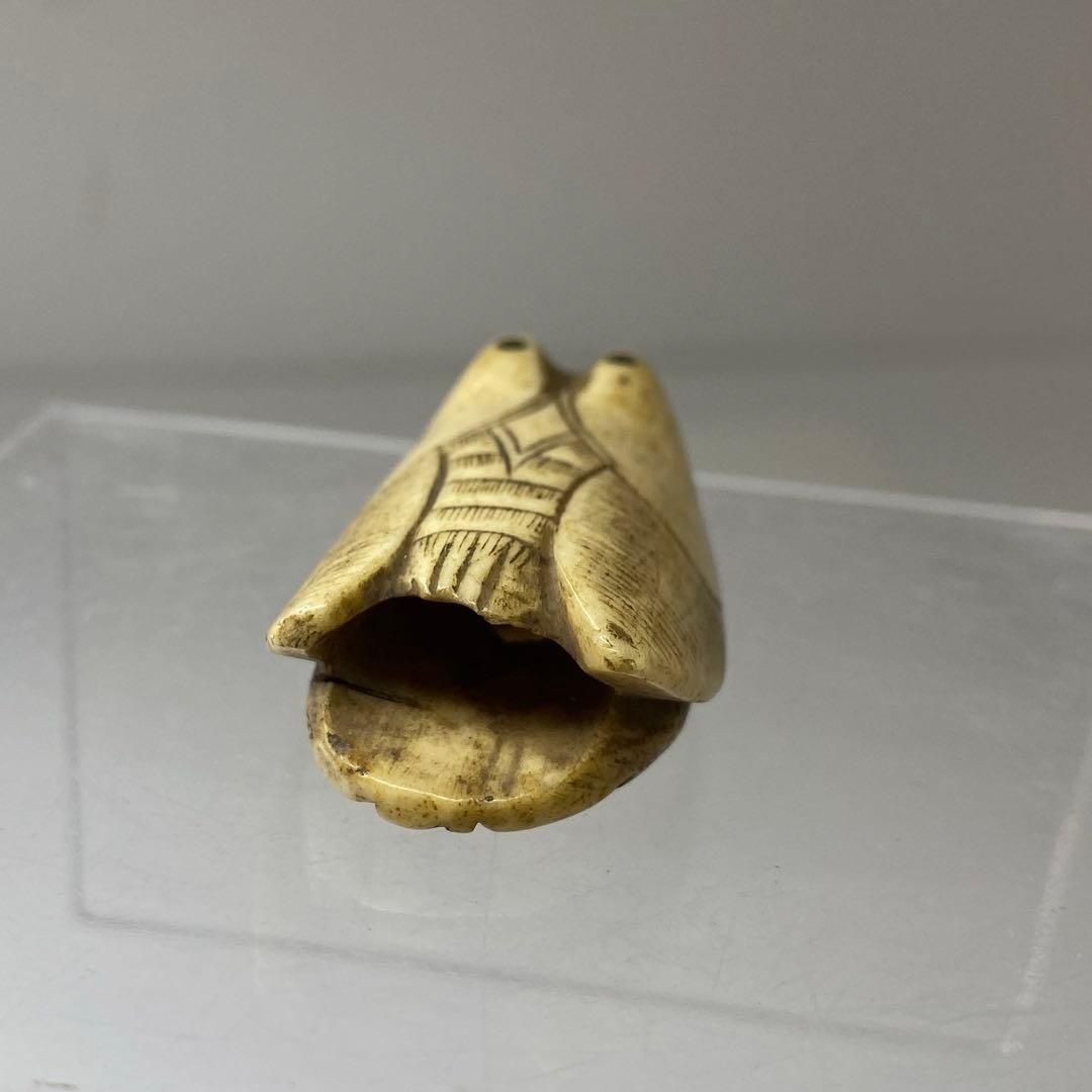 骨製セミ根付 18g 卸売 東Y6-0918ア㉗