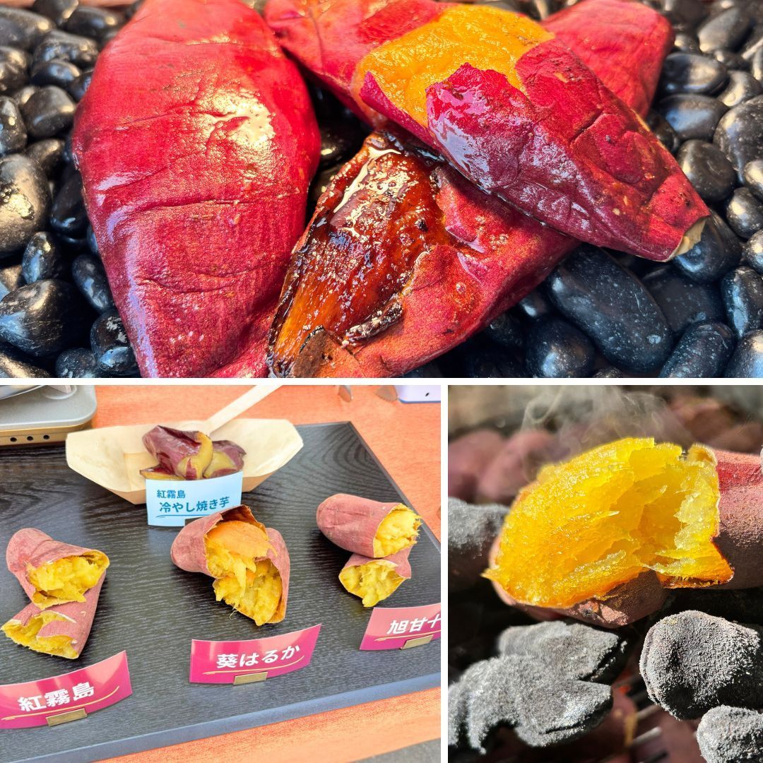 業務用 焼き芋機 壺いらず ステンレス軽量｜副業スターター
