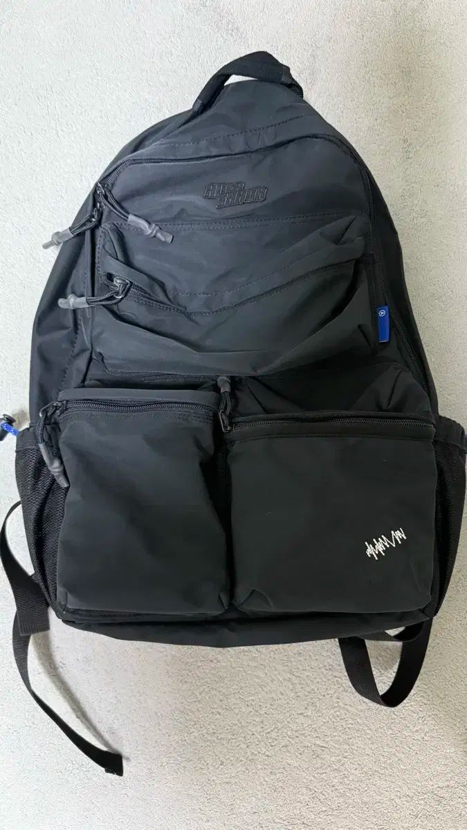 visvimビズビム BALLISTIC 25L backpack ☆初期レア物 2025年最新