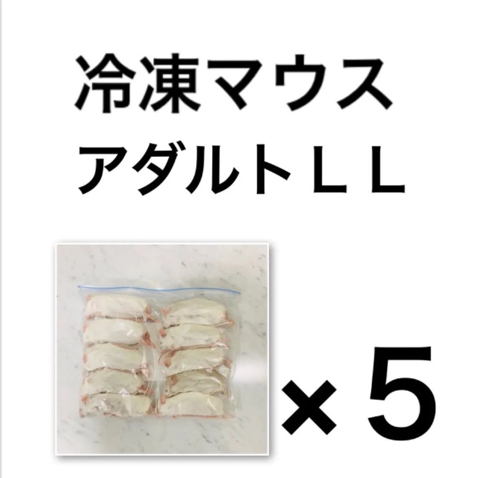 冷凍マウス アダルトＬＬ…５袋