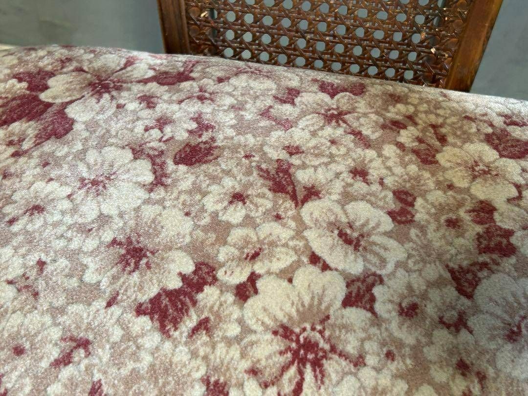 パルナシウス・アクデステス（チベット産、 オス） パルナシウス