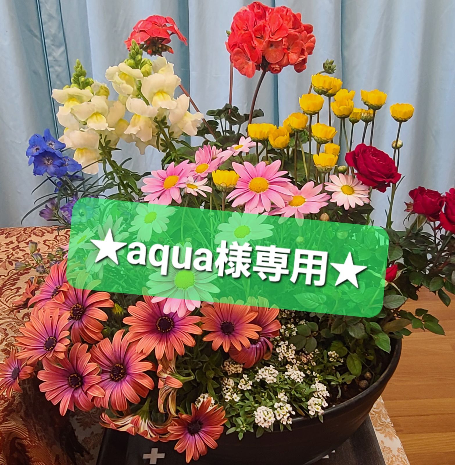 蜻蛉とテントウムシと野生の草花 大型 ヴィンテージ ステンドグラス