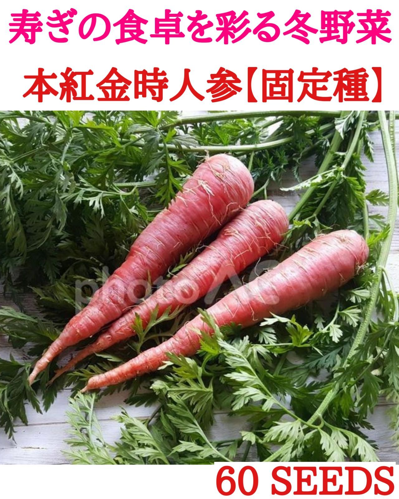 メルカリshops 本紅金時人参の種 固定種 香川伝統 正月に欠かせない寿ぎの食卓を彩る冬野菜