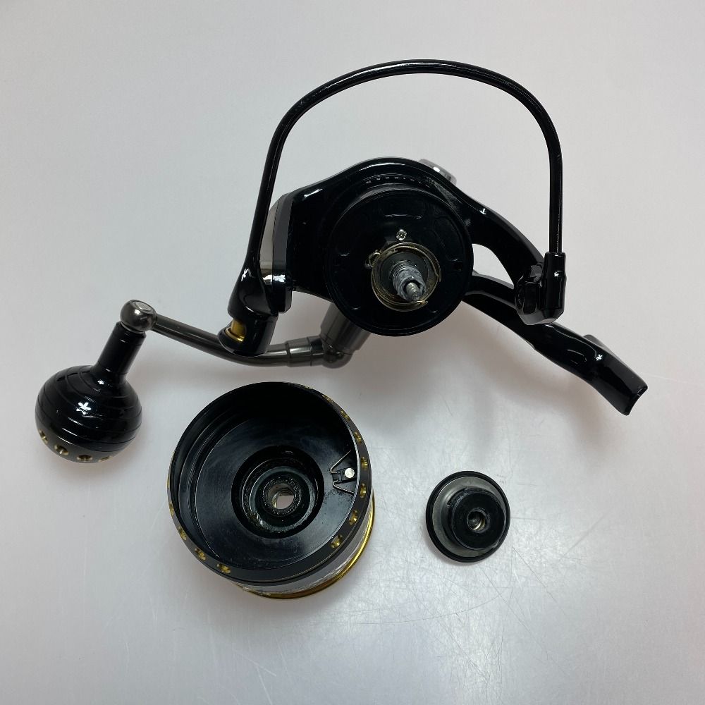 DAIWA ダイワ ソルティガZ 6500H・ドッグファイト 00058964