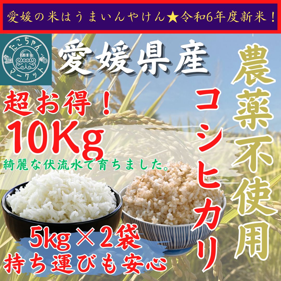 無農薬米 令和6年度 新米 玄米 白米選べます 愛媛県産 お米 コシヒカリ 10kg