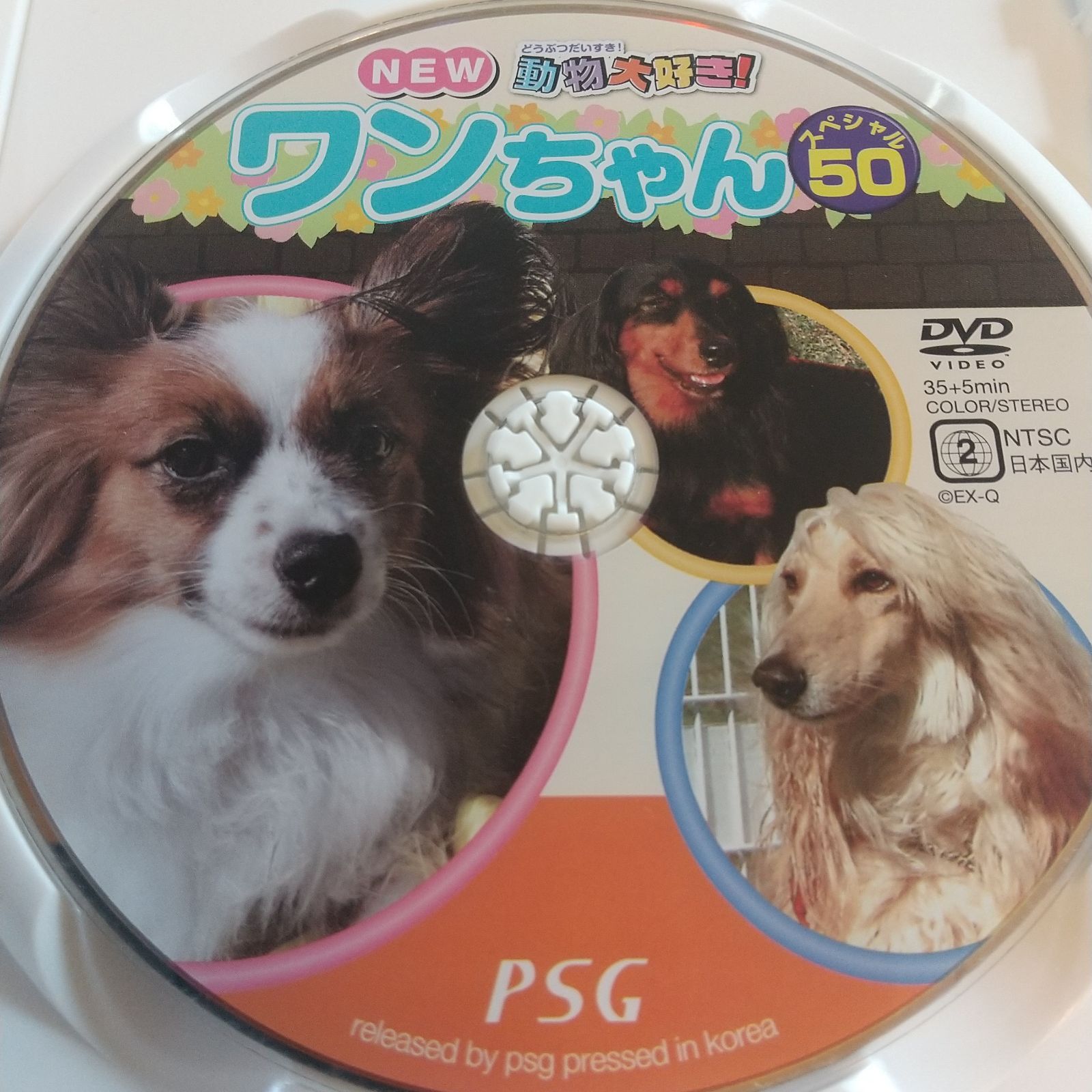 おしゃべり大好きワンちゃん。新品未使用！ Amazon.co.jp: 動物大好き!NEWワンちゃんスペシャル50 [DVD] : DVD