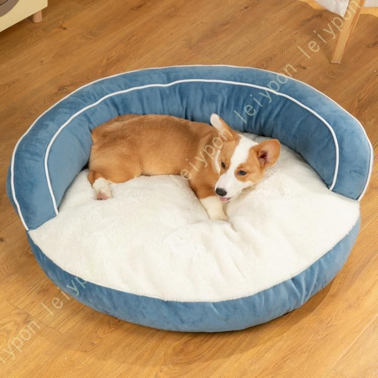 犬