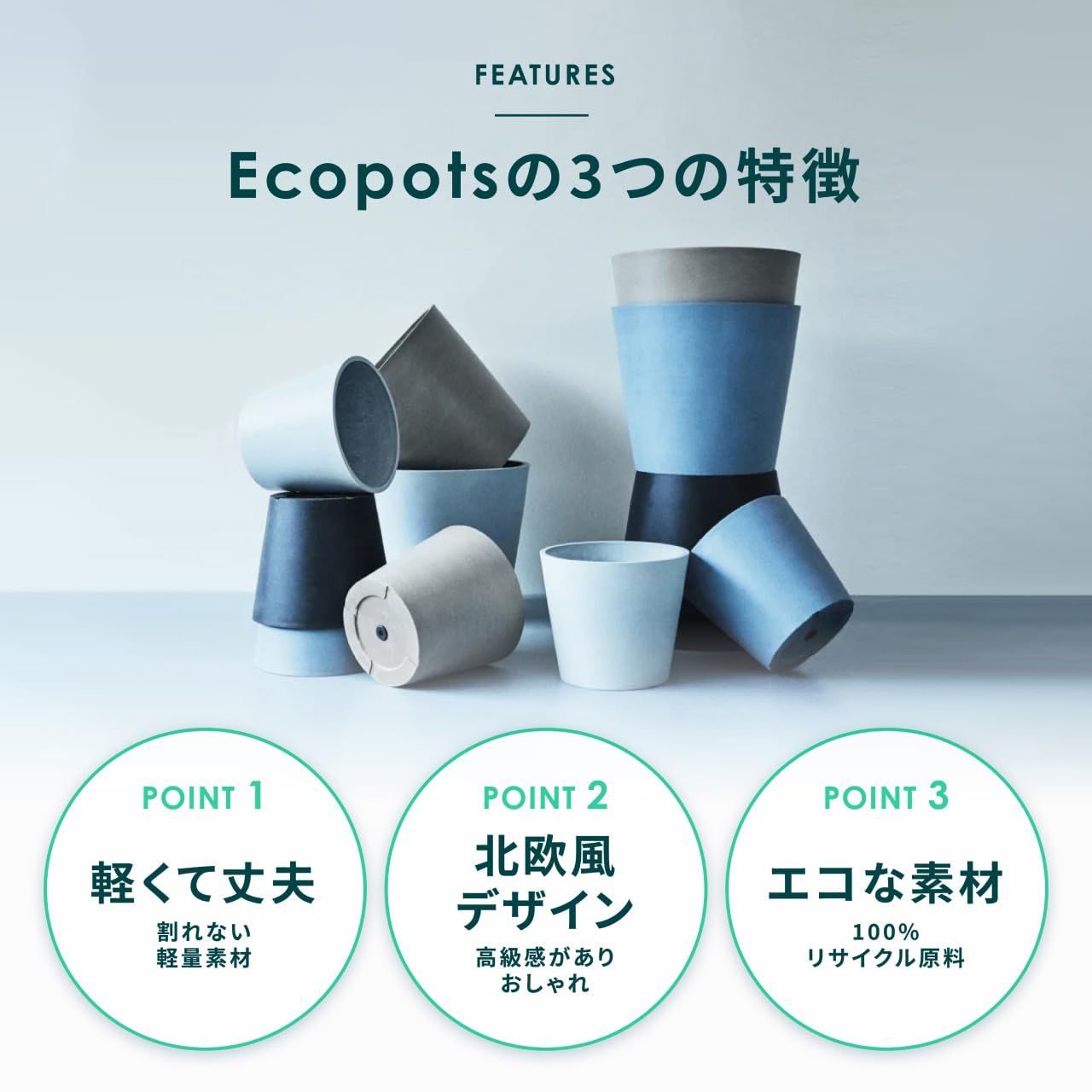 アンドプランツ