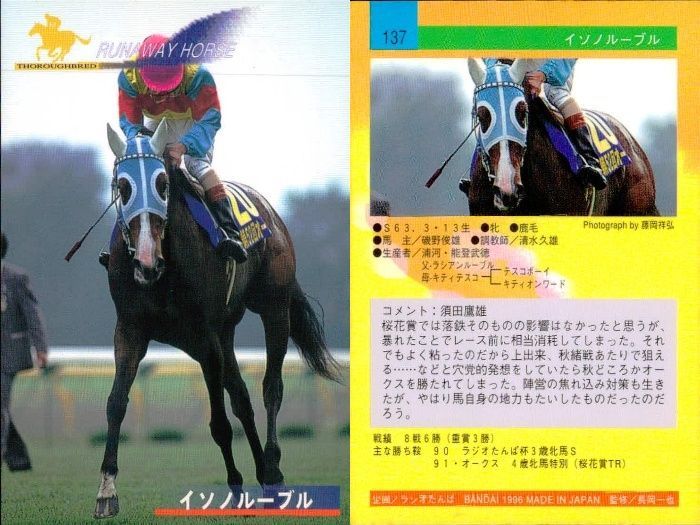 サラブレッドホースコレクション2Rまとめ売りノーマル29種81枚レア22種33枚