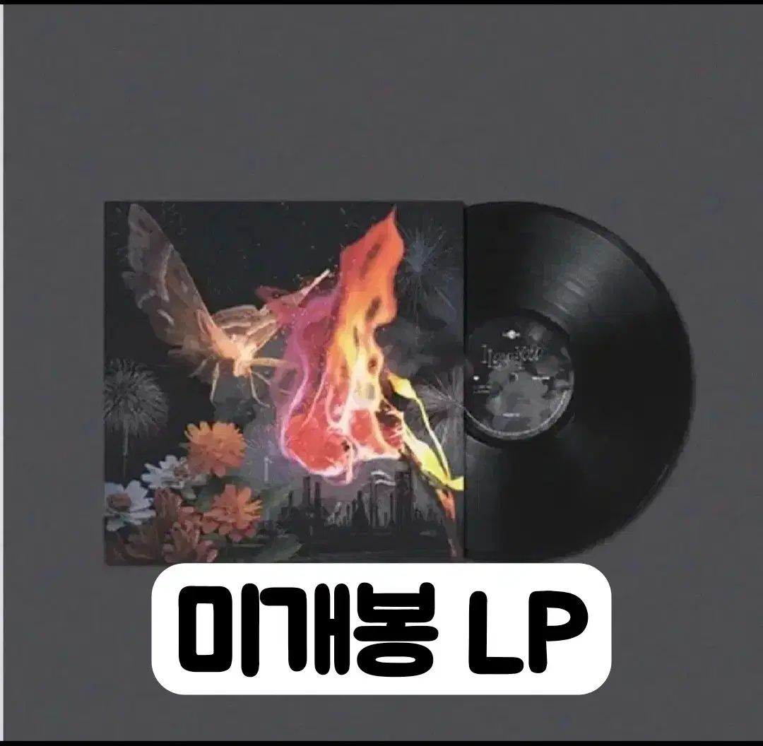 ラクーナ ー I Love You LP