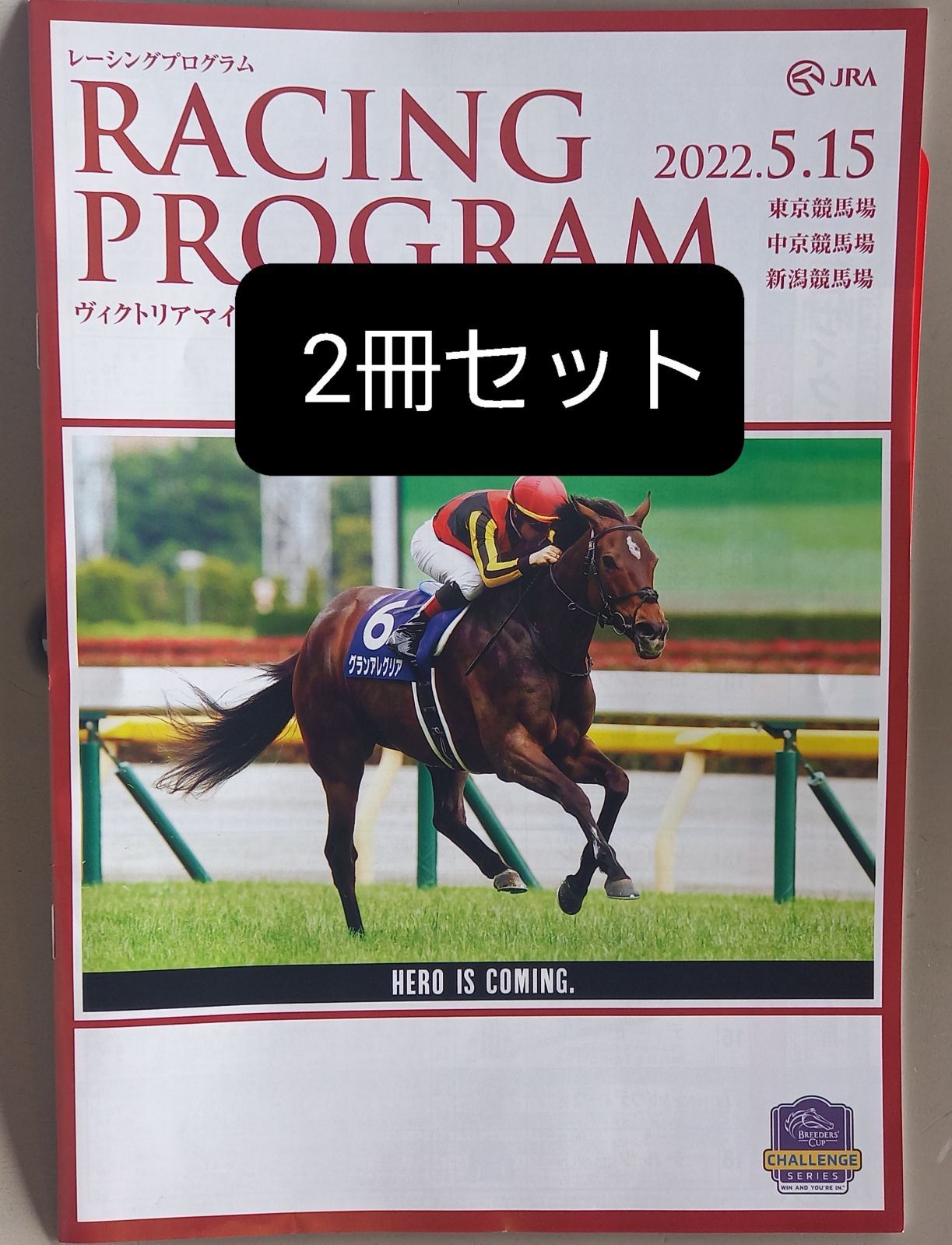 競馬 2013年レーシングプログラム まとめ売り レープロ - 趣味