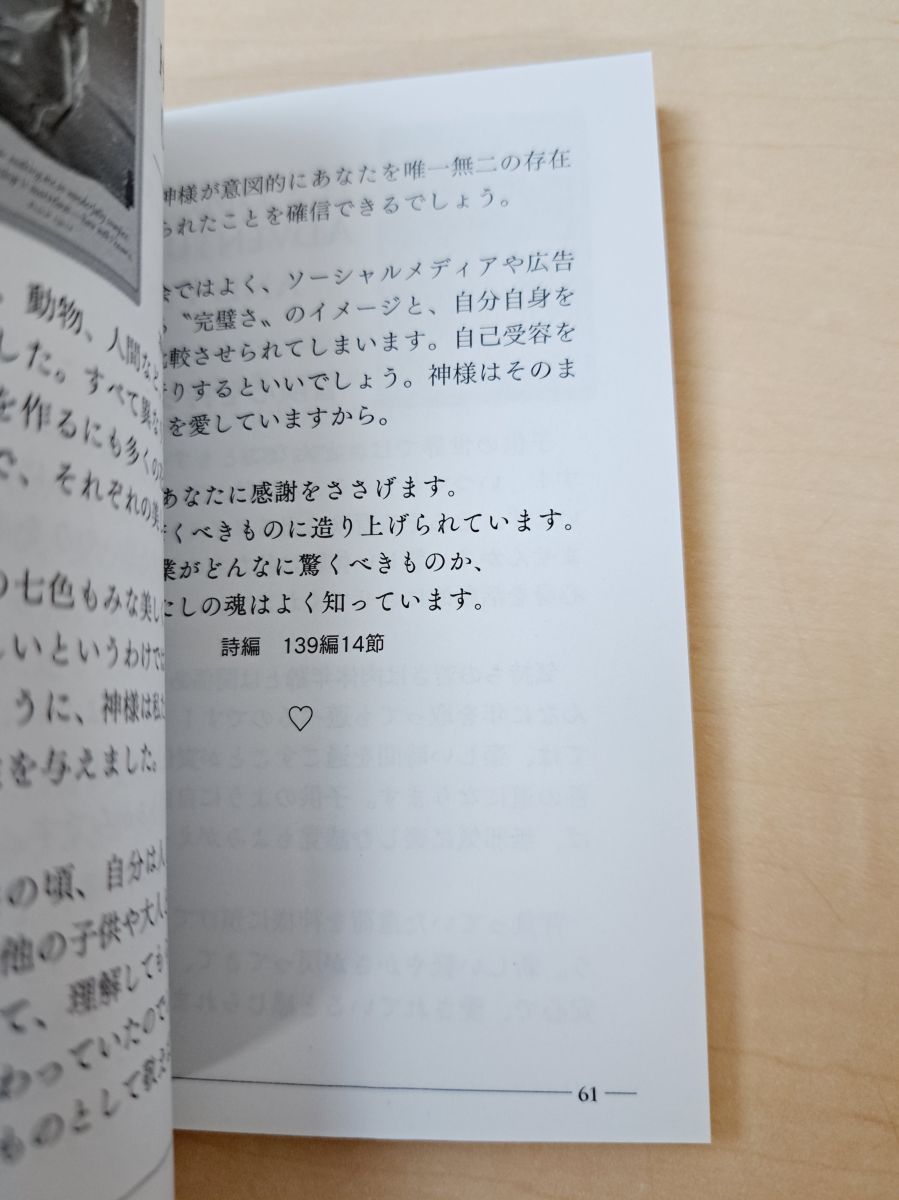 ラブ&ライトディバインガイダンスカード　日本語正規品 ラブ&ライトディバインガイダンスカード 日本語版説明書付