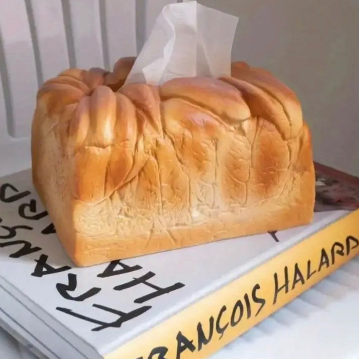 小堤晶子さん OZFACTORY オズファクトリー 象の急須 ポット 2025年最新