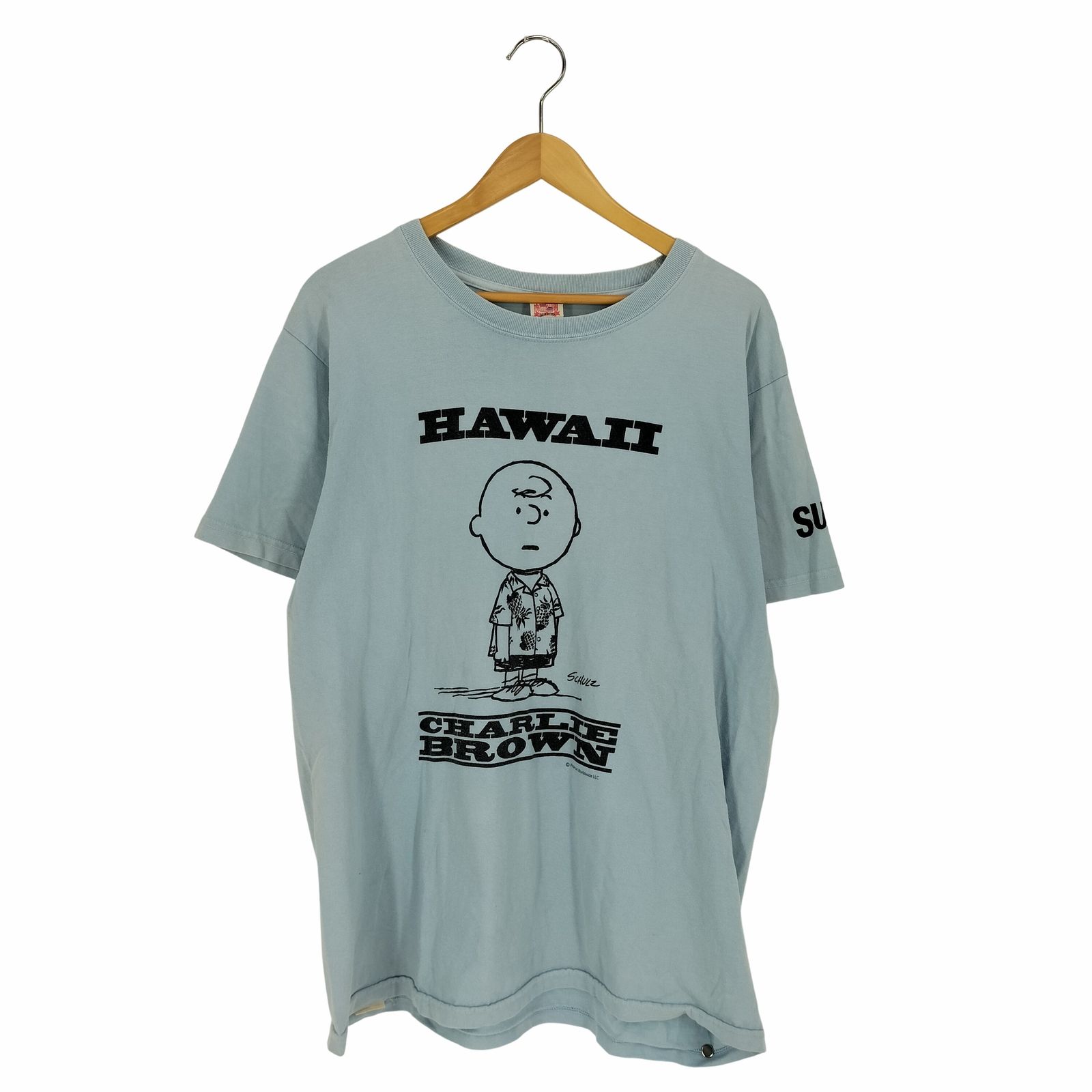サンサーフ SUN SURF USA製 キャラクタープリント クルーネックTシャツ メンズ import：XL 