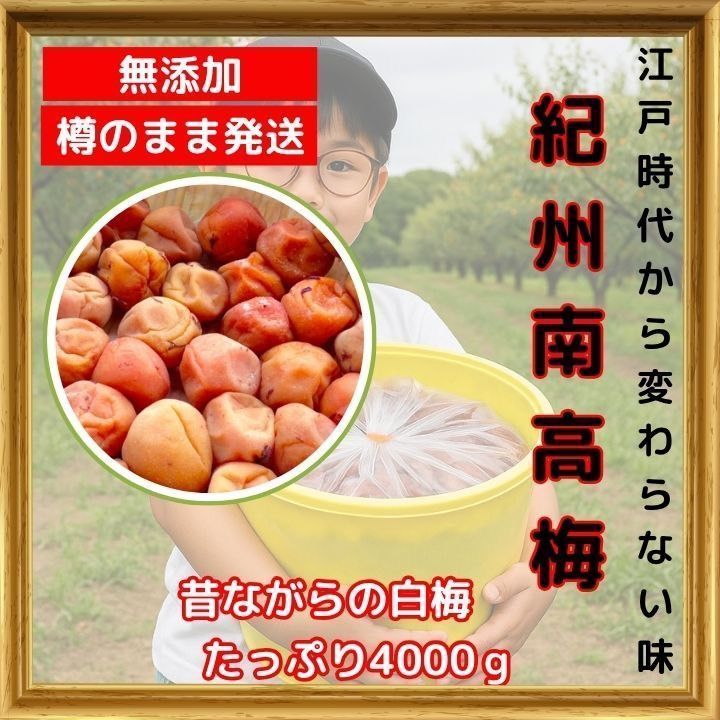 限定！ 紀州南高梅 樽 4kg 梅 無添加 和歌山 紀州 白梅 - メルカリ