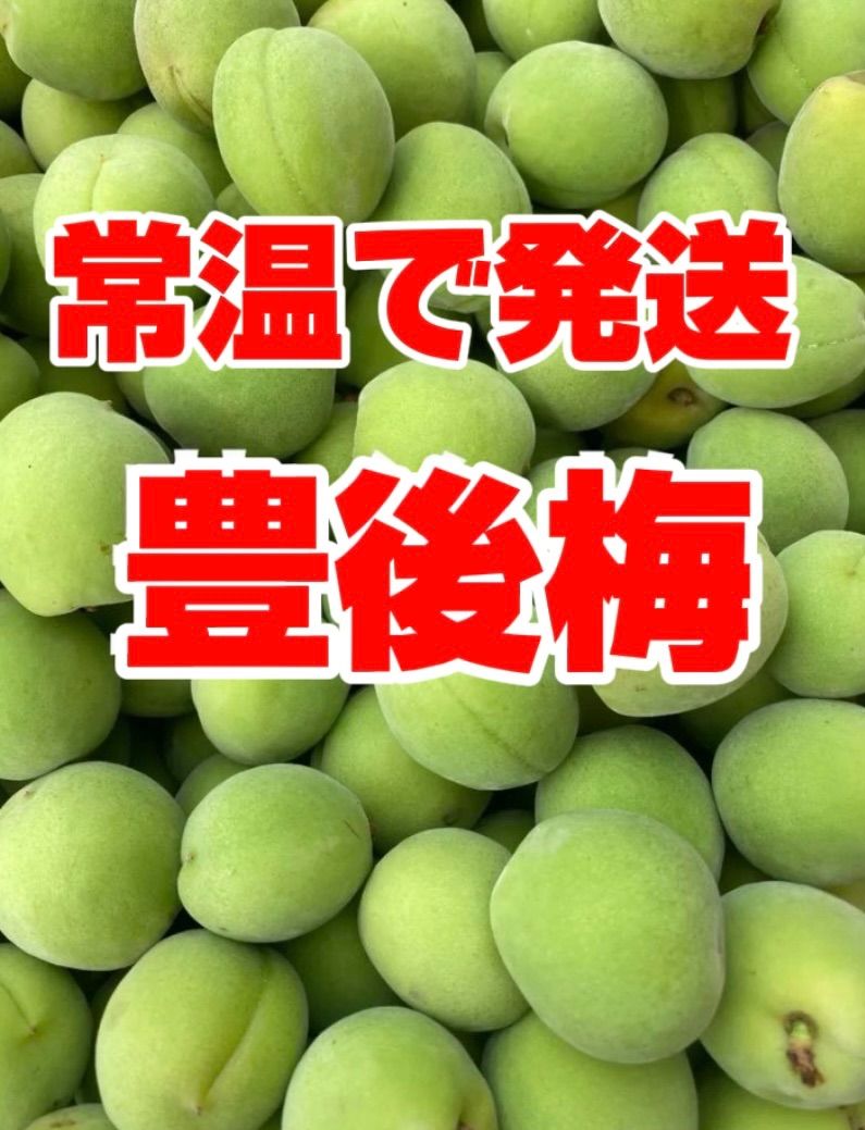 青梅 豊後梅 Lサイズ以上 10 キロ箱込み 常温で発送