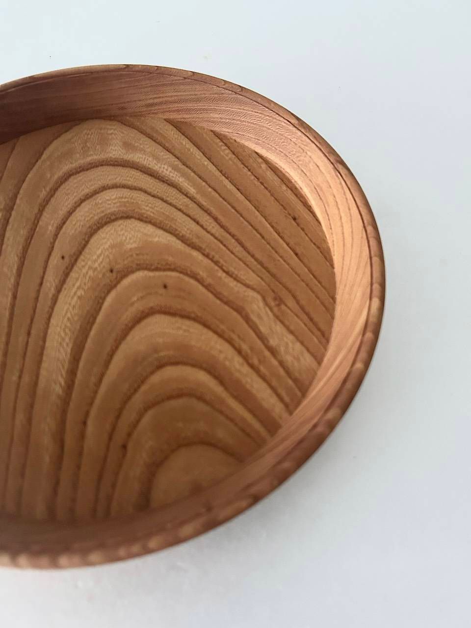 【未使用】foot of the mountain 中西健太　22cm　 丸盆 未使用】foot of the mountain 中西健太22cm 丸盆