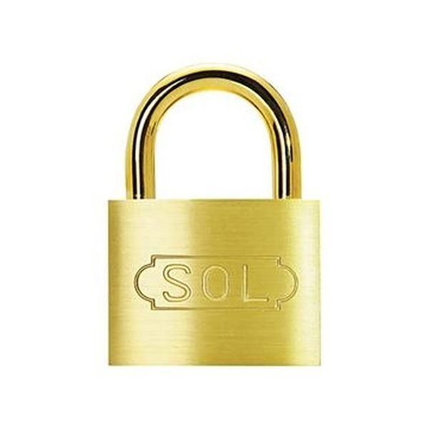 （まとめ）清水 SOLシリンダー南京錠2500SD-25 1個〔×20セット〕