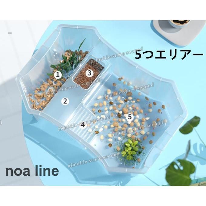 爬虫類 カメ生息地