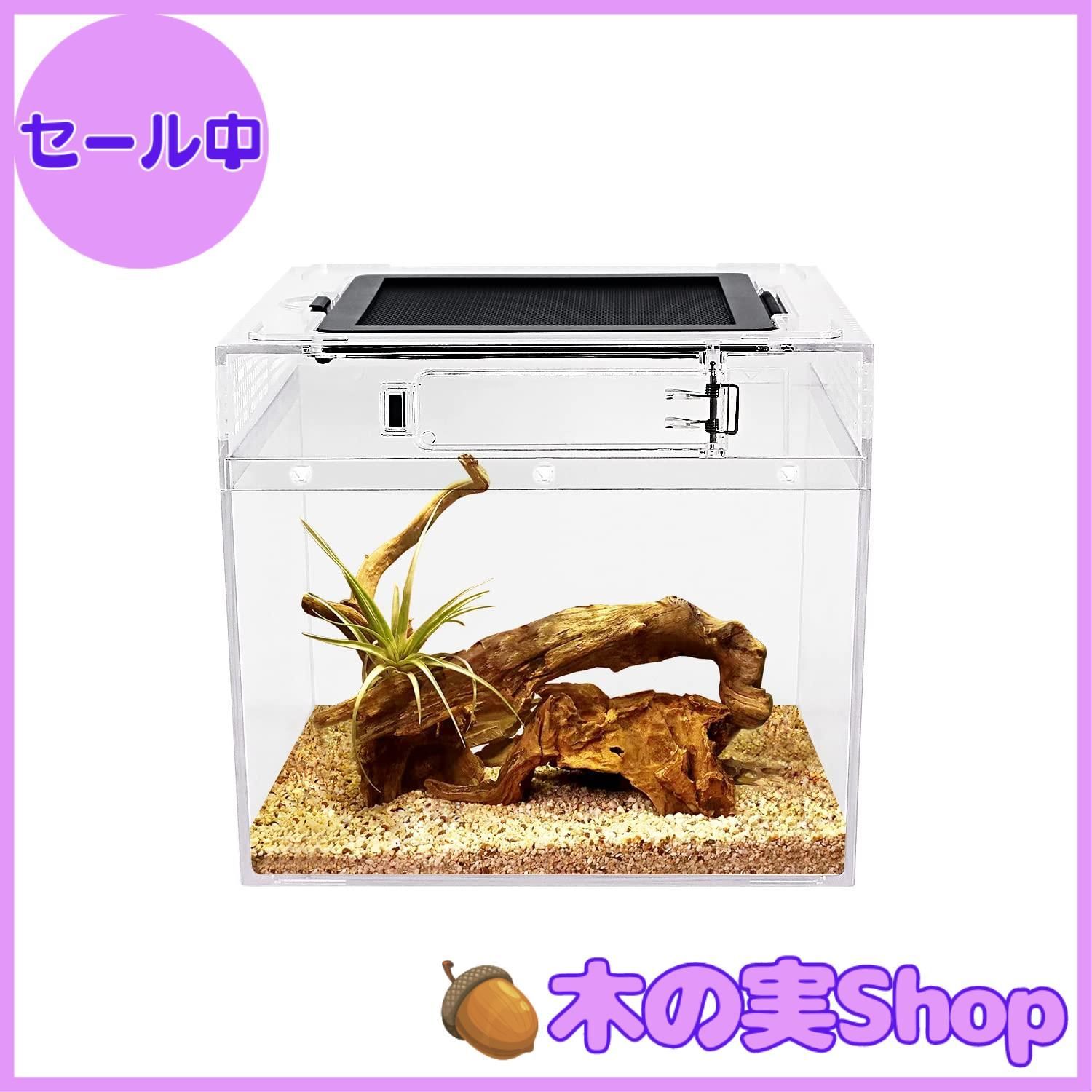 大安売り】Reptile Growth ポリカーボネート 小型爬虫類 ケージ 大安売り】Reptile Growth ポリカーボネート 小型爬虫類 ケージ