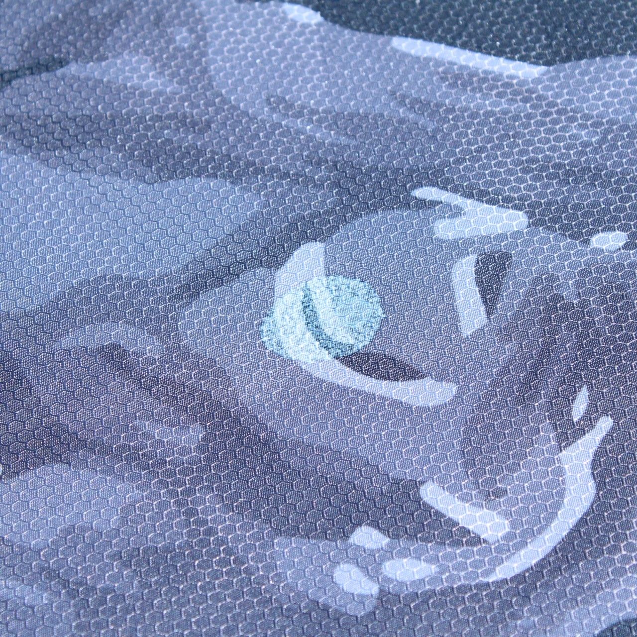 ざぁーす