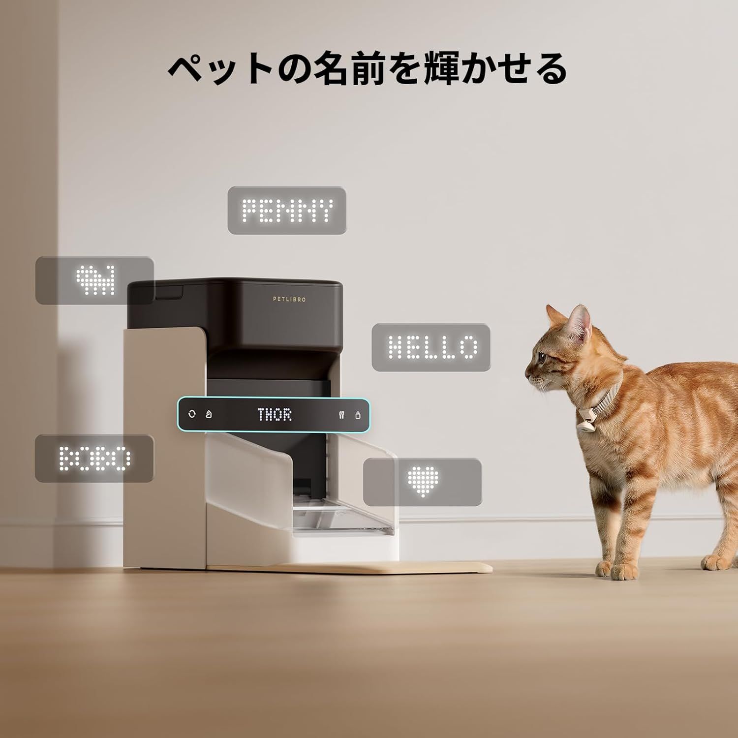 自動給餌器 自動えさやり器