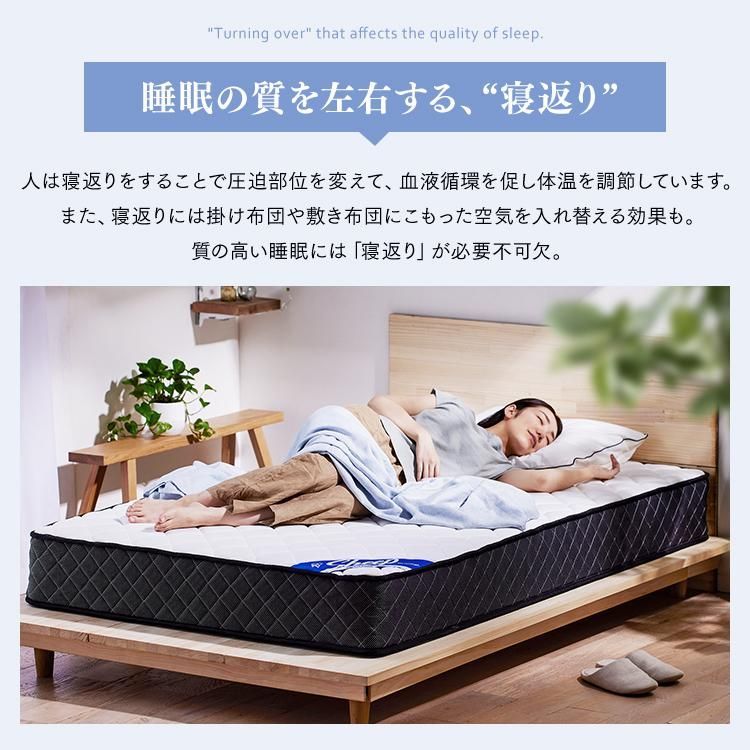 公式