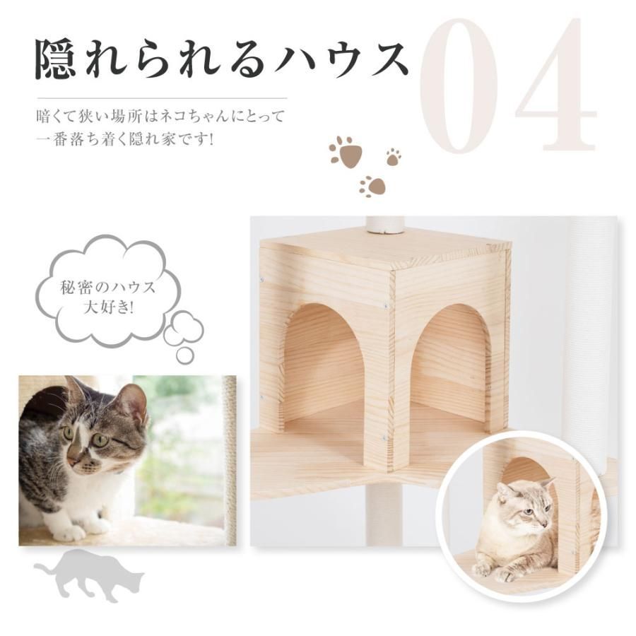 cat-ts250jp