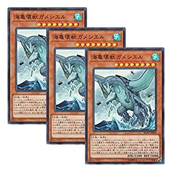 遊戯王 - かめ 41fFlbCo-bL._UF350,350_QL50_.jpg