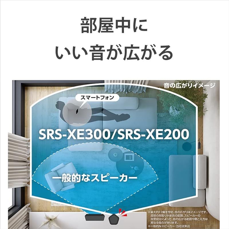 SRS-XE200