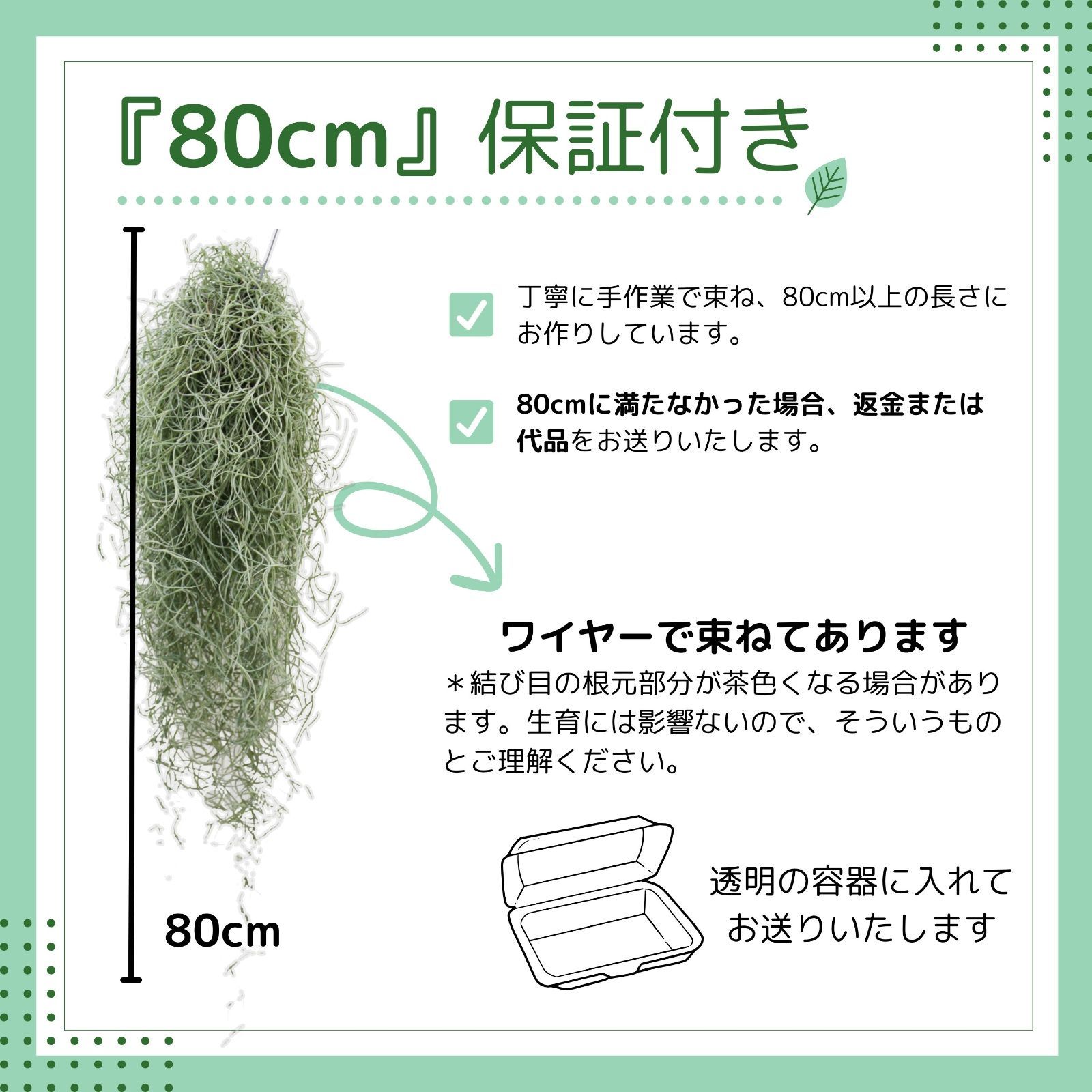 のサムネイル