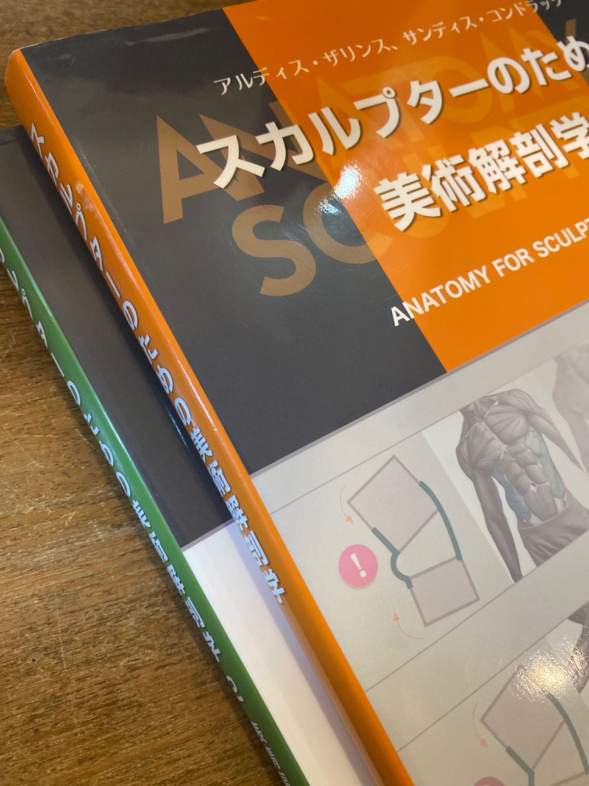 スカルプターのための美術解剖学 日本語版 サンディス・コンドラッツ スカルプターのための美術解剖学 | アルディス・ザリンス