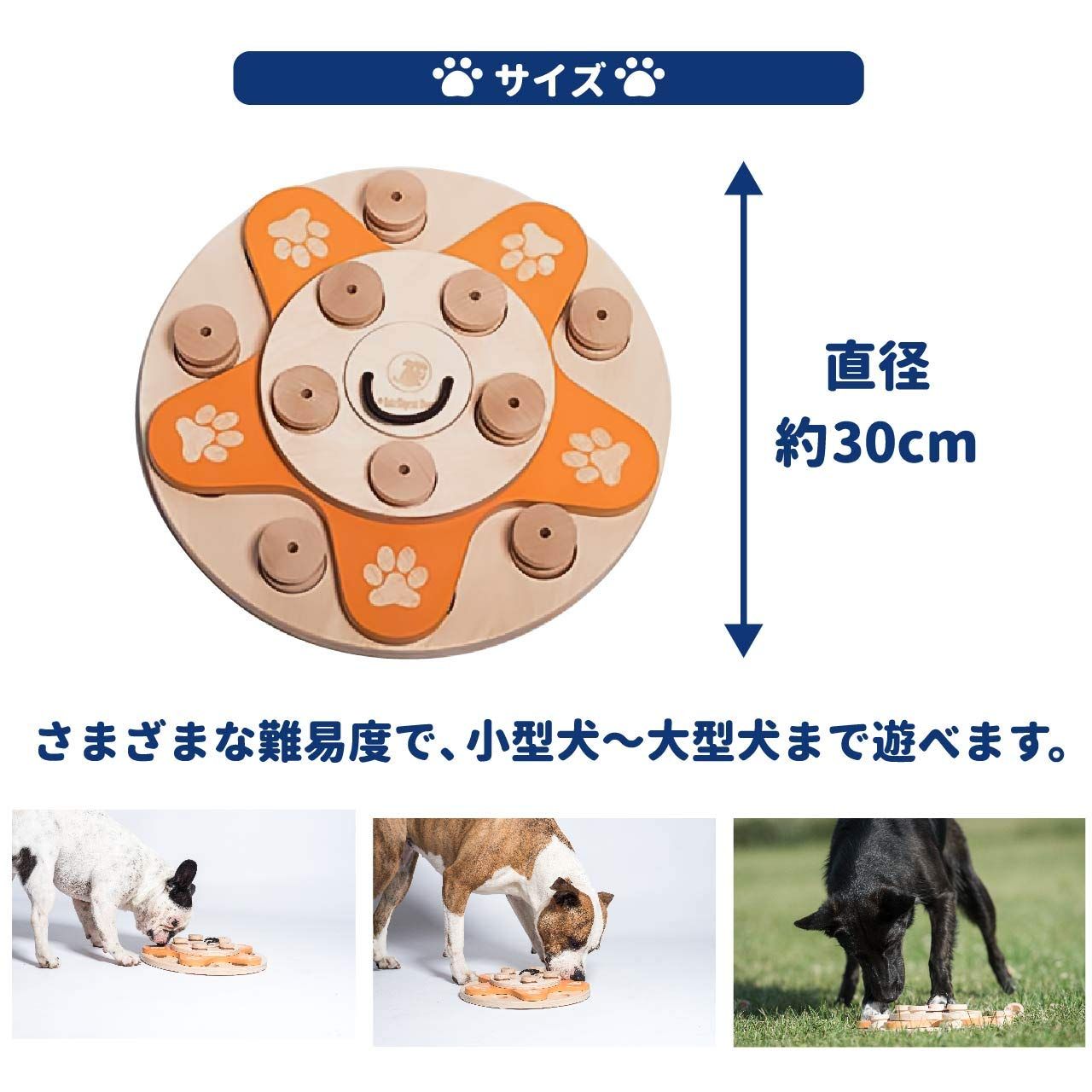 知育トイ